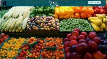 25 جنيهًا.. أسعار الخضروات والفاكهة تتفاوت بين البامية والطماطم في الأسواق اليوم الثلاثاء